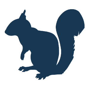 File:Squirrel.png